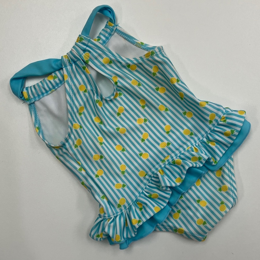 Bathing Suit Bundle (size 2T) - Picture 8 of 9